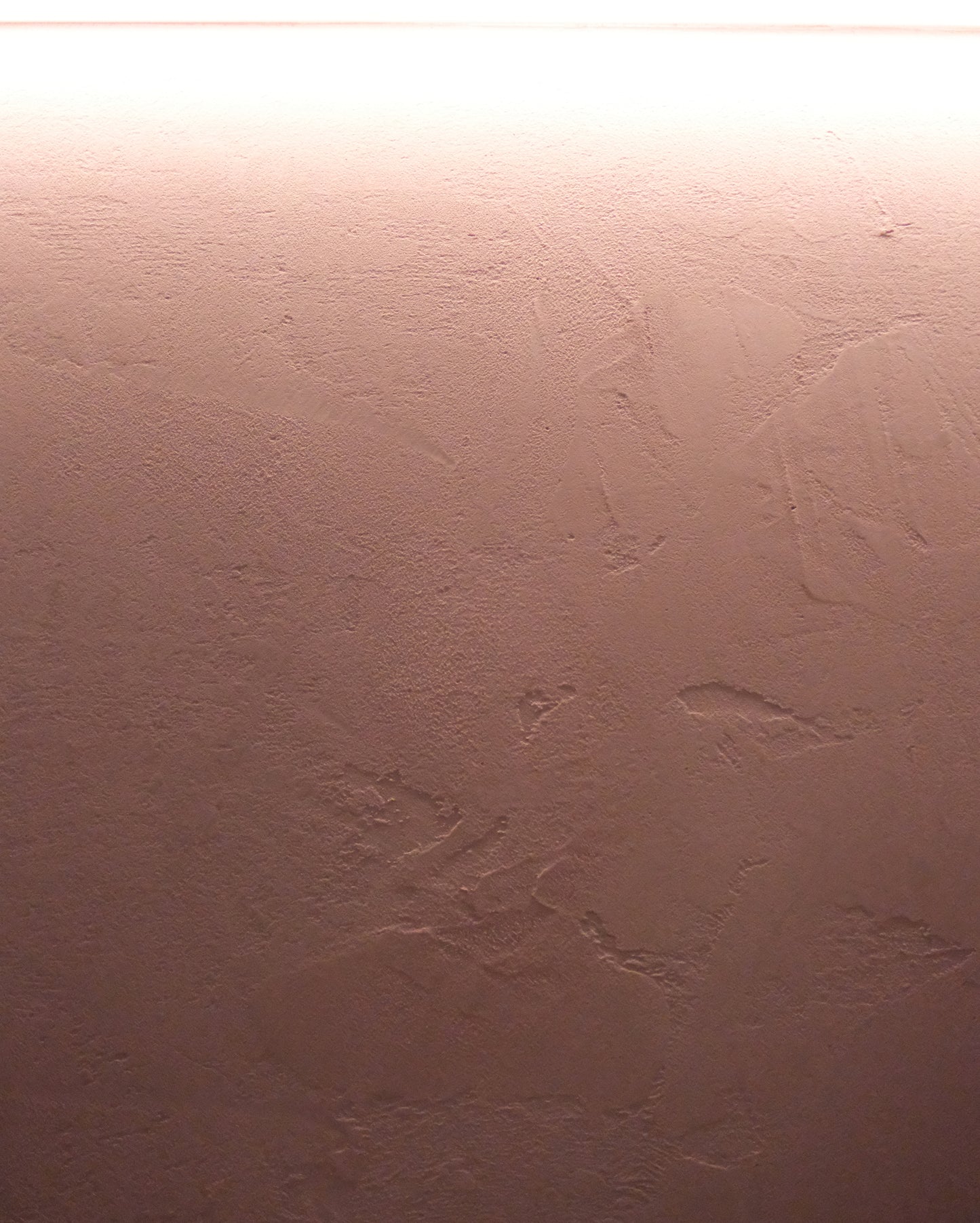 Intonachino Decorative Venetian Plaster Medium - 5 Star Finishes Ltd