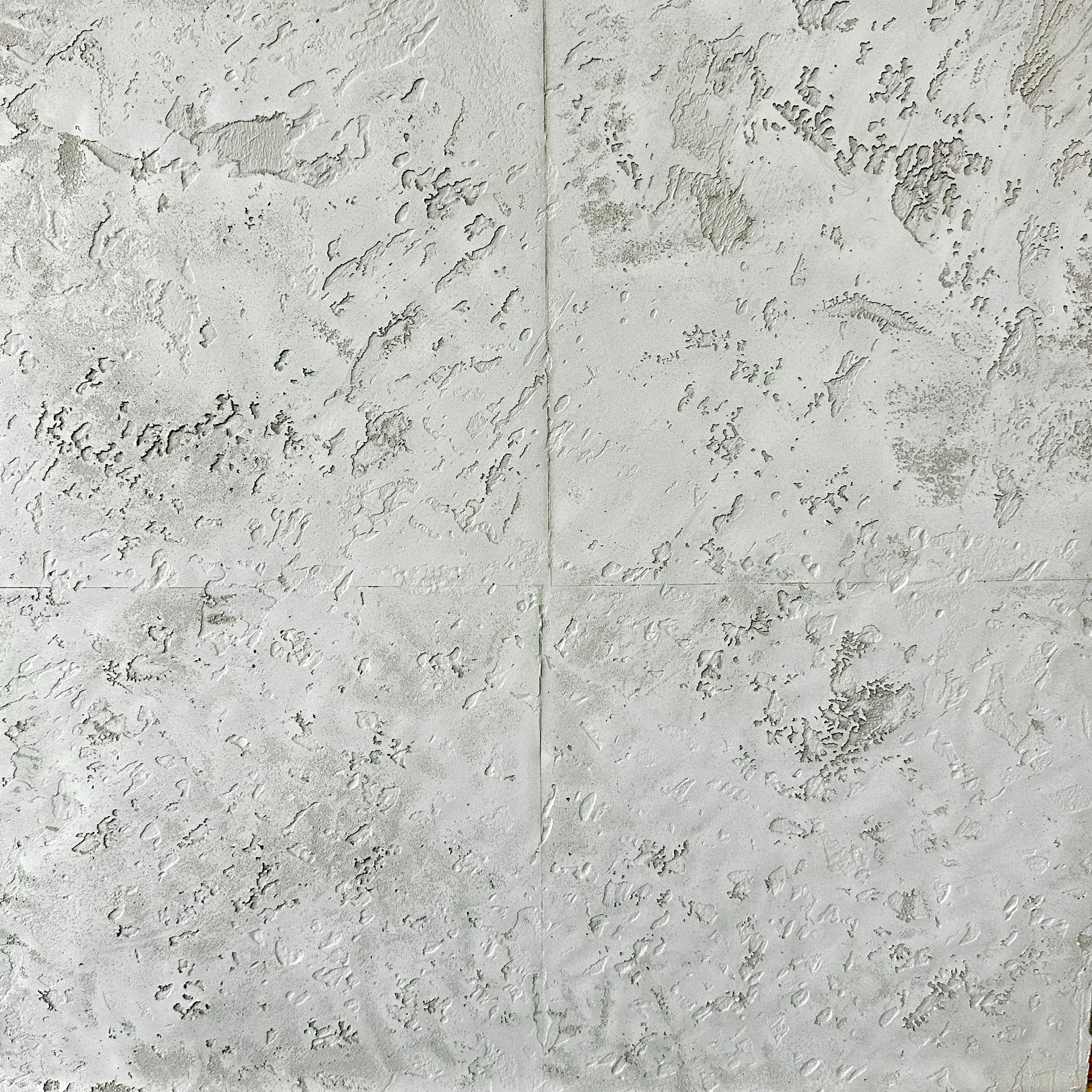 3-Day Decorative Plaster Training Experience - 5 Star Finishes Ltd