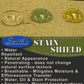 Stain Shield Penetrating Sealer Specific for Darker Plasters - 5 Star Finishes Ltd