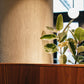 Stucco Finish - 5 Star Finishes Ltd